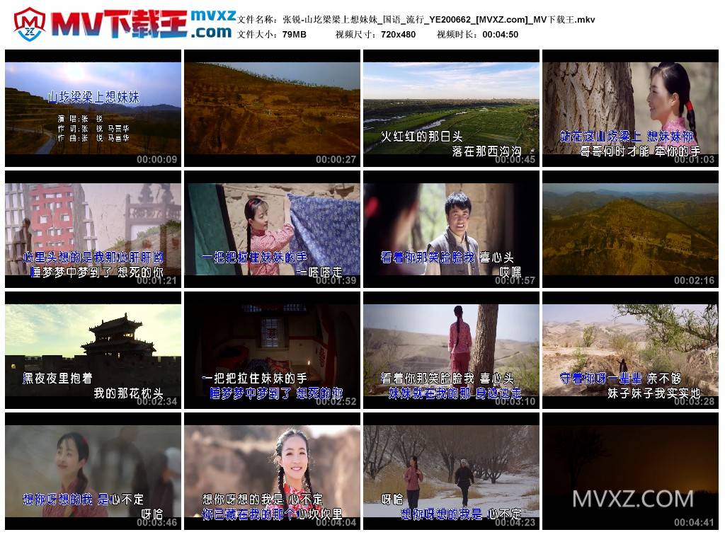 张锐-山圪梁梁上想妹妹_国语_流行_YE200662